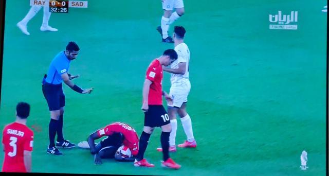 开云入口-各界名流齐聚世界杯新球场 最终主角是中超出品